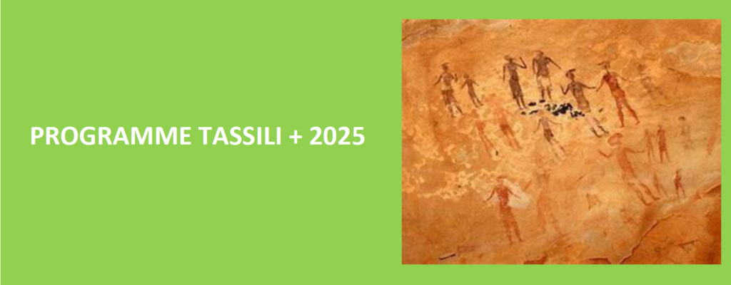 Appel à projets dans le cadre du Programme PHC TASSILI+ 2025