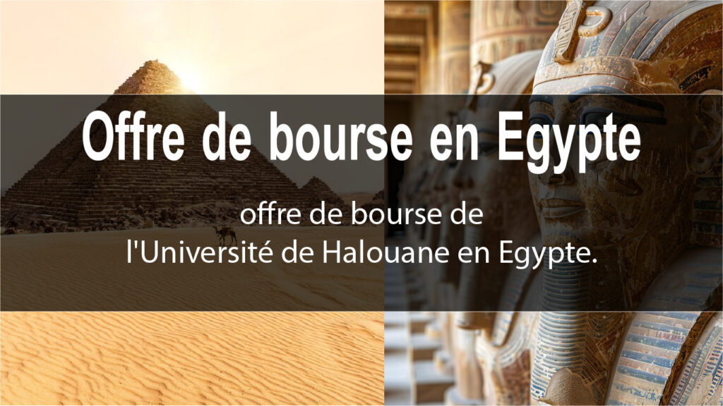 Offre de bourse en Egypte